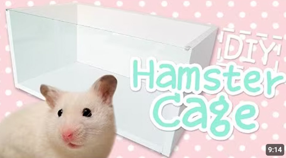 DIY Linnmon Enclosure Tutorial