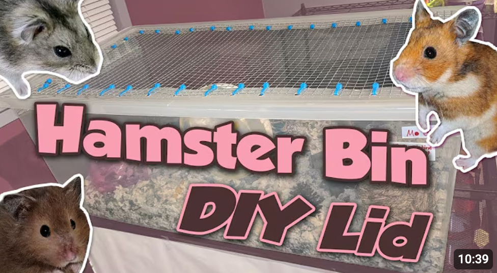 DIY Bin Cage Lid Tutorial